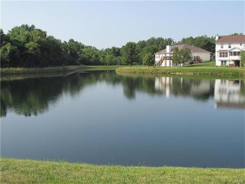 2997 Bromley Dr, O'fallon, MO 63368 photo 50