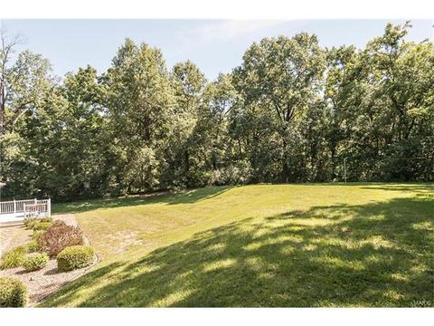 412 Imperial Dr, O'fallon, MO 63366 photo 34