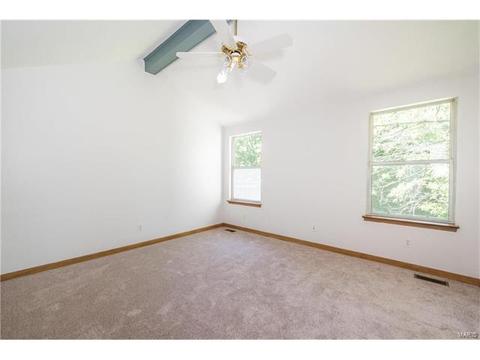 16125 Castlerea Blvd, Ellisville, MO 63021 photo 8