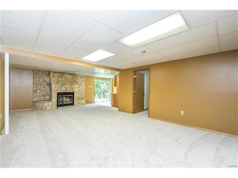 16125 Castlerea Blvd, Ellisville, MO 63021 photo 13
