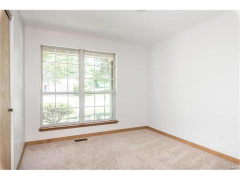 16125 Castlerea Blvd, Ellisville, MO 63021 photo 10
