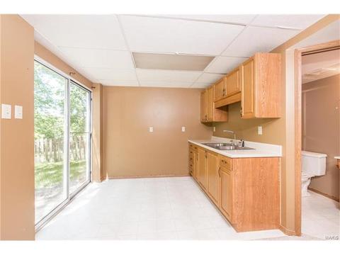 16125 Castlerea Blvd, Ellisville, MO 63021 photo 14