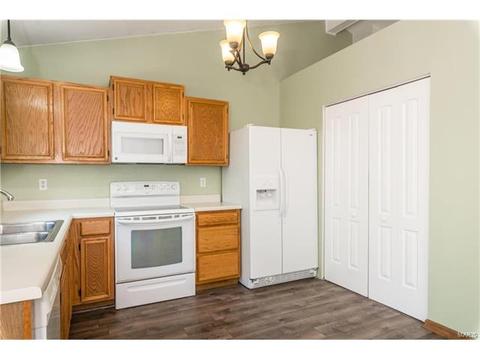 16125 Castlerea Blvd, Ellisville, MO 63021 photo 7