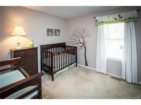 809 Catania Dr, Ballwin, MO 63021 photo 12