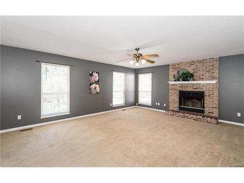 433 Elm Crossing Ct, Ballwin, MO 63021 photo 6
