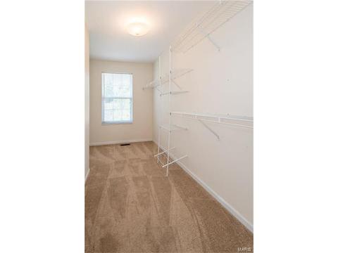 433 Elm Crossing Ct, Ballwin, MO 63021 photo 19