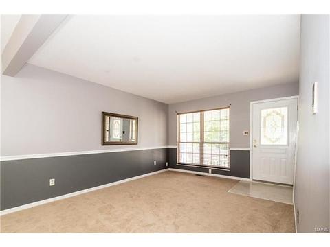 433 Elm Crossing Ct, Ballwin, MO 63021 photo 15