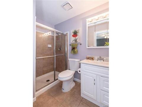 433 Elm Crossing Ct, Ballwin, MO 63021 photo 18