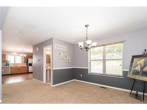 433 Elm Crossing Ct, Ballwin, MO 63021 photo 14