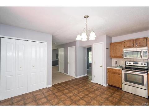 433 Elm Crossing Ct, Ballwin, MO 63021 photo 4