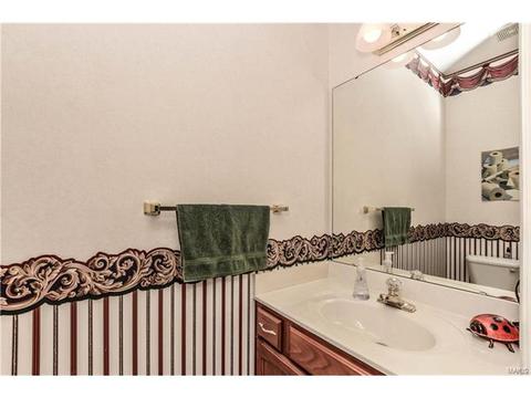 503 Summer Oak Cir, Ellisville, MO 63021 photo 29