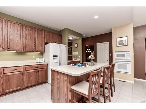 503 Summer Oak Cir, Ellisville, MO 63021 photo 21