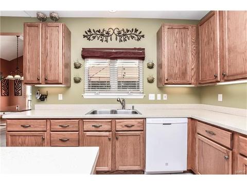 503 Summer Oak Cir, Ellisville, MO 63021 photo 20