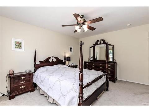 503 Summer Oak Cir, Ellisville, MO 63021 photo 39