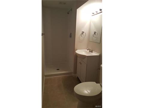 603 Wicklow Dr, Ballwin, MO 63021 photo 22