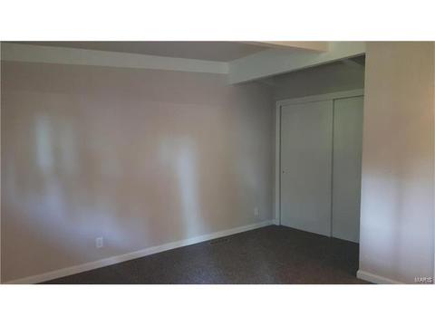 603 Wicklow Dr, Ballwin, MO 63021 photo 17