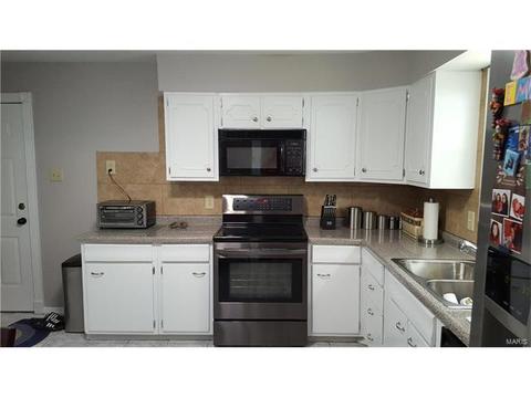 101 Baxter Acres, Ballwin, MO 63011 photo 21