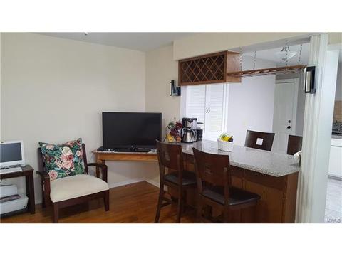 101 Baxter Acres, Ballwin, MO 63011 photo 17
