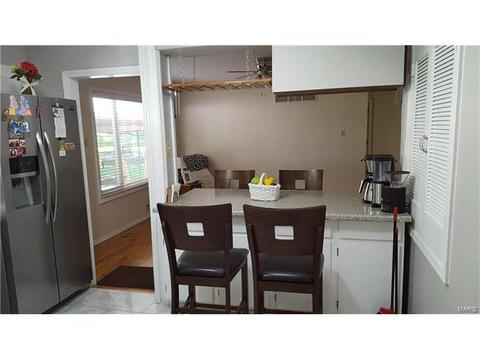 101 Baxter Acres, Ballwin, MO 63011 photo 23