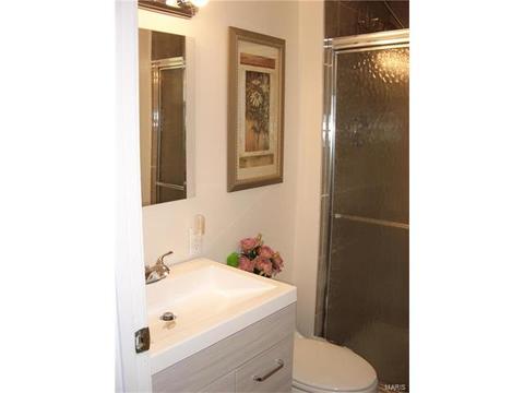 101 Baxter Acres, Ballwin, MO 63011 photo 14