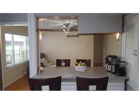 101 Baxter Acres, Ballwin, MO 63011 photo 24