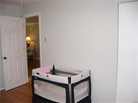 101 Baxter Acres, Ballwin, MO 63011 photo 8