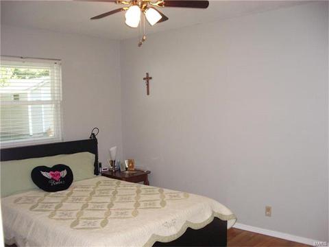 101 Baxter Acres, Ballwin, MO 63011 photo 11