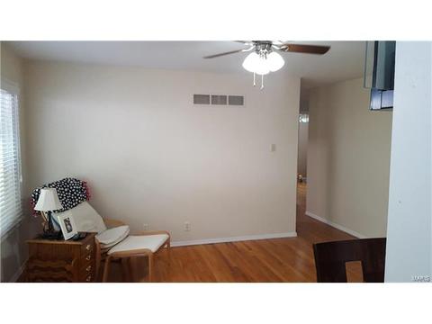 101 Baxter Acres, Ballwin, MO 63011 photo 18