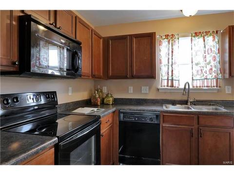 969 Tilestone Dr, O'fallon, MO 63366 photo 12