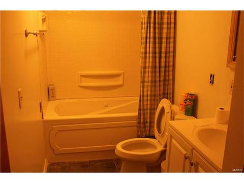 516 St Joseph Ln, Manchester, MO 63021 photo 10