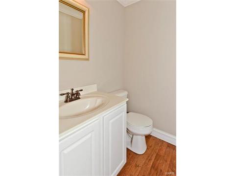 371 Falcon Hill Dr, O'fallon, MO 63368 photo 23