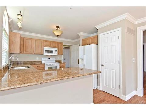 371 Falcon Hill Dr, O'fallon, MO 63368 photo 10