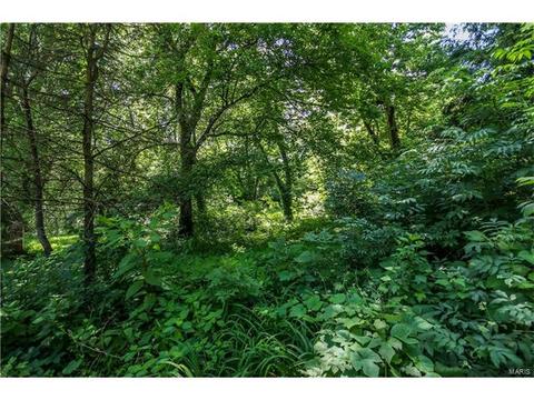 10241 Capitol Dr, Saint Louis, MO 63136 photo 23