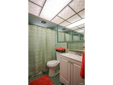 10241 Capitol Dr, Saint Louis, MO 63136 photo 16