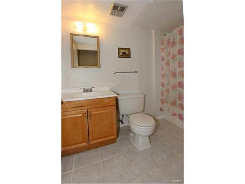 323 Windyoak, Ballwin, MO 63021 photo 25