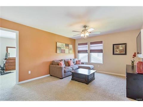 730 Ashton Way Cir, Eureka, MO 63025 photo 21