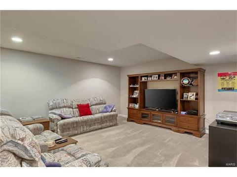 933 Summit Oaks, Eureka, MO 63025 photo 51