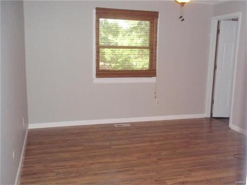304 Clara St, Eureka, MO 63025 photo 34