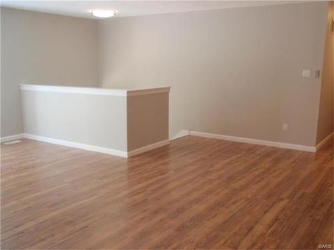 304 Clara St, Eureka, MO 63025 photo 25