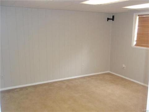 304 Clara St, Eureka, MO 63025 photo 41