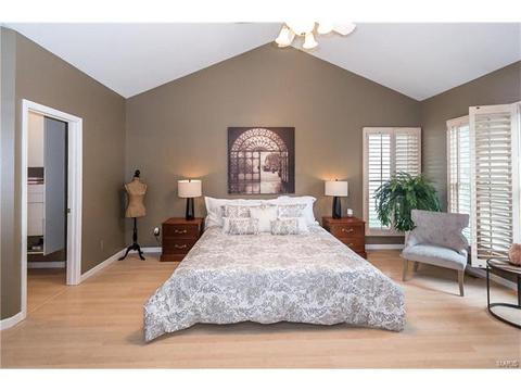 31 Baxter Ln, Chesterfield, MO 63017 photo 22