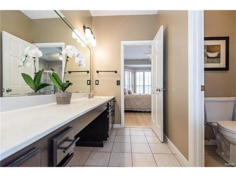 31 Baxter Ln, Chesterfield, MO 63017 photo 30