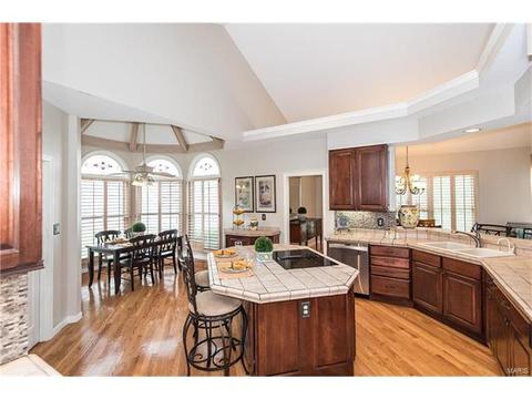 31 Baxter Ln, Chesterfield, MO 63017 photo 13