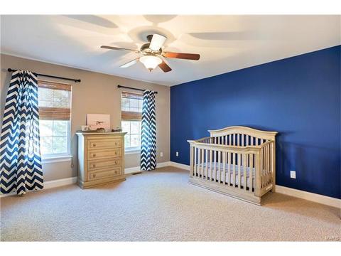 110 Fox Grv, O'fallon, MO 63368 photo 38