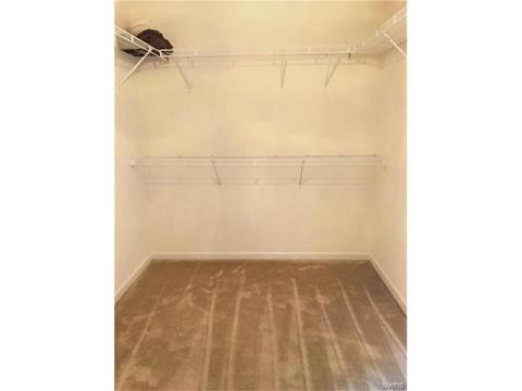 601 Spring Mnr, O'fallon, MO 63368 photo 22