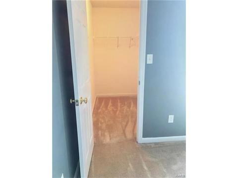 601 Spring Mnr, O'fallon, MO 63368 photo 15