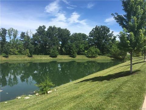 601 Spring Mnr, O'fallon, MO 63368 photo 33