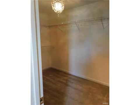 601 Spring Mnr, O'fallon, MO 63368 photo 23