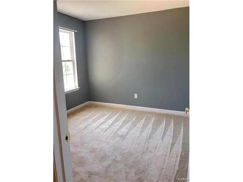 601 Spring Mnr, O'fallon, MO 63368 photo 14