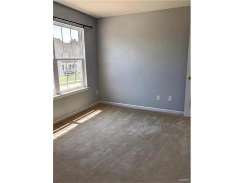 601 Spring Mnr, O'fallon, MO 63368 photo 10